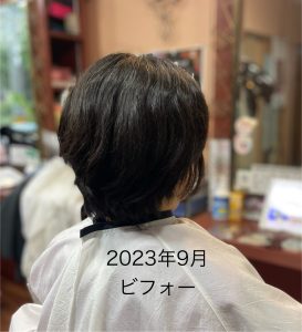 1年後数回のキュビズムカット✂️ビフォー